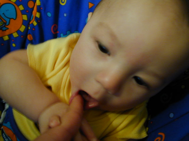2Y020095.JPG, 11/2/02, 48 kB