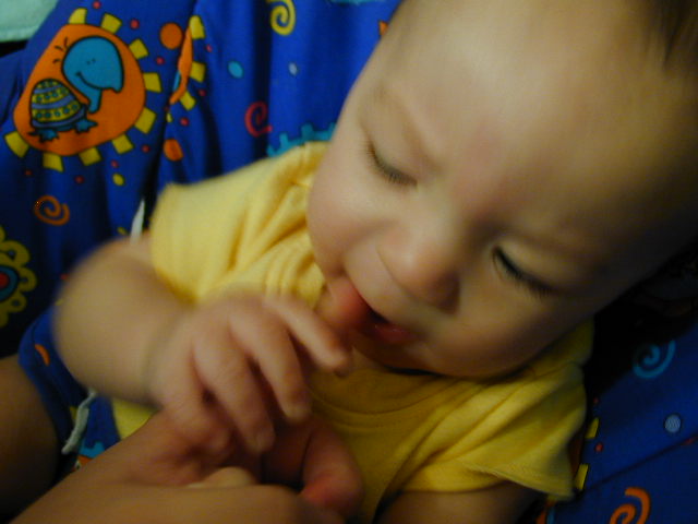 2Y020096.JPG, 11/2/02, 47 kB