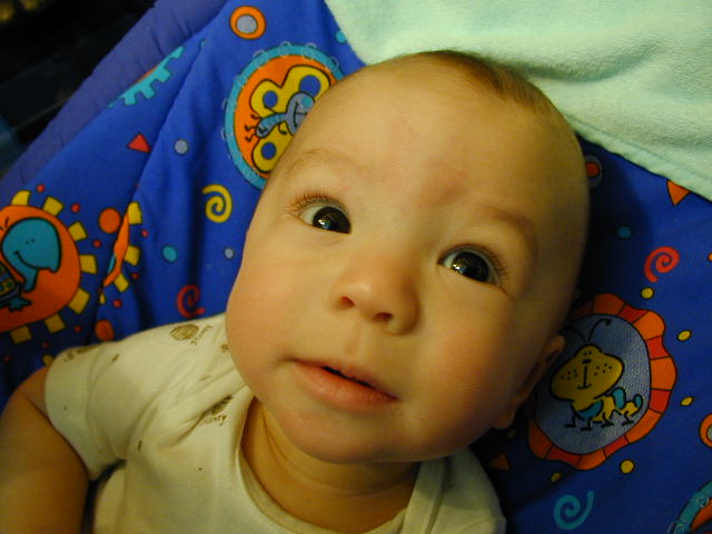 2Y030097.JPG, 11/3/02, 51 kB
