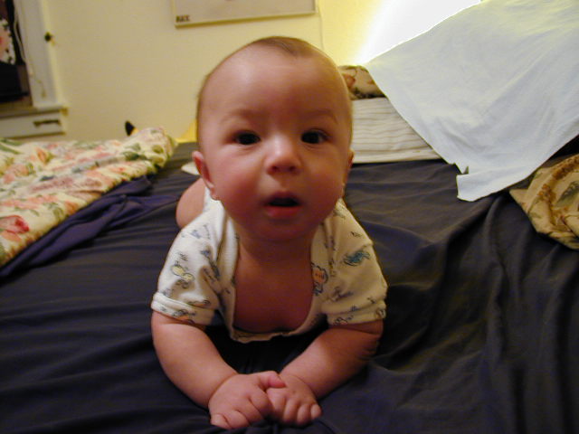 2Y030100.JPG, 11/3/02, 50 kB