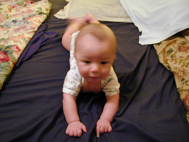 2Y030101.JPG, 11/3/02, 51 kB
