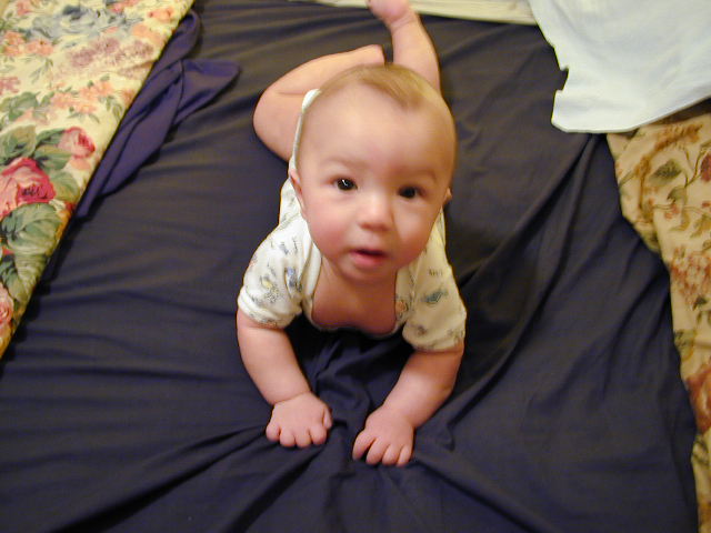 2Y030103.JPG, 11/3/02, 51 kB