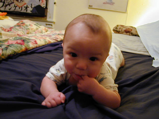 2Y030104.JPG, 11/3/02, 50 kB