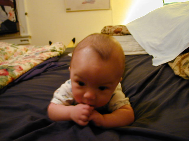 2Y030105.JPG, 11/3/02, 48 kB