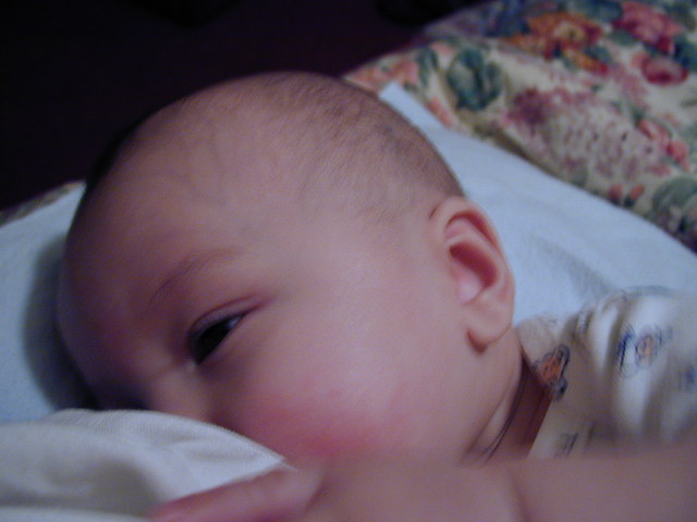 2Y030106.JPG, 11/3/02, 53 kB