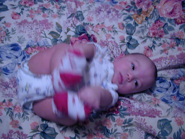 2Y040107.JPG, 11/4/02, 58 kB