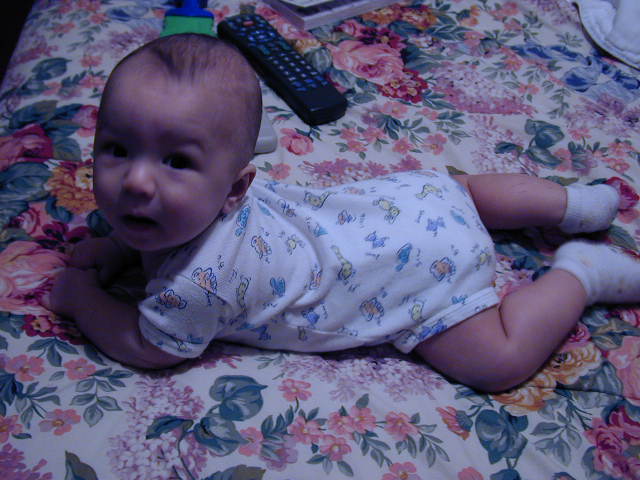 2Y050117.JPG, 11/5/02, 59 kB