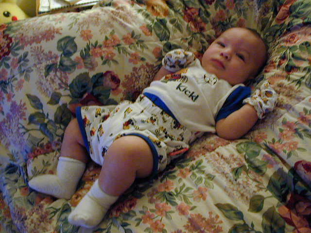 2Y070118.JPG, 11/7/02, 60 kB