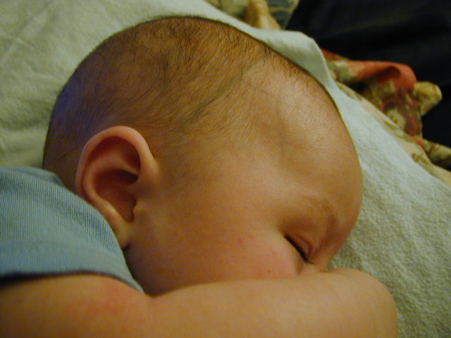 2Y070131.JPG, 11/7/02, 52 kB