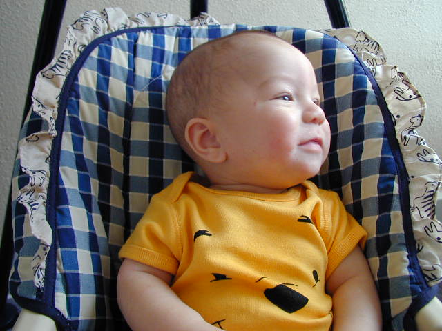 2Y080138.JPG, 11/8/02, 59 kB