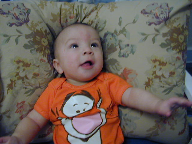 2Y080156.JPG, 11/8/02, 53 kB