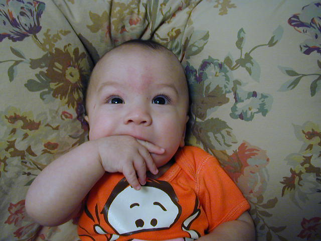 2Y080157.JPG, 11/8/02, 56 kB