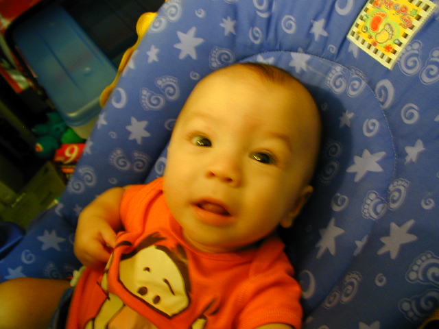 2Y090164.JPG, 11/9/02, 50 kB