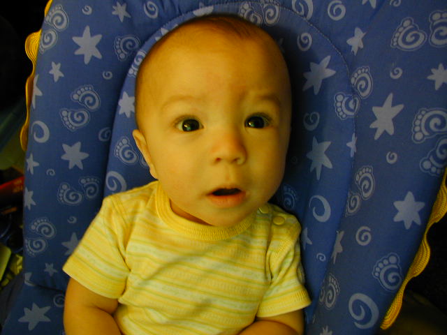 2Y150192.JPG, 11/15/02, 52 kB