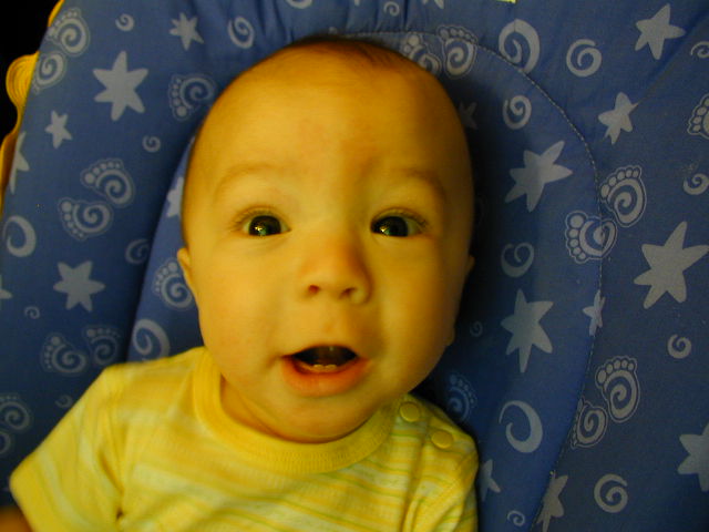 2Y150194.JPG, 11/15/02, 51 kB