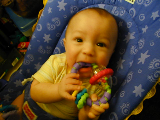 2Y150197.JPG, 11/15/02, 51 kB