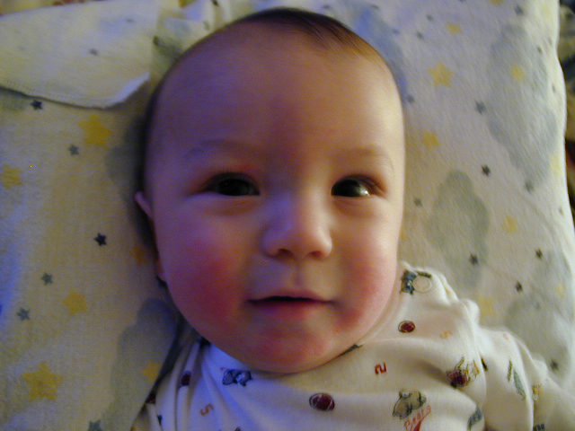 2Y230215.JPG, 11/23/02, 51 kB