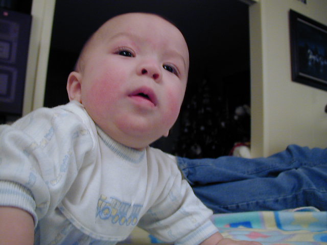 2Z220254.JPG, 12/22/02, 47 kB