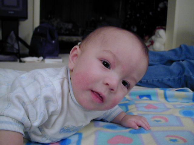 2Z220257.JPG, 12/22/02, 46 kB