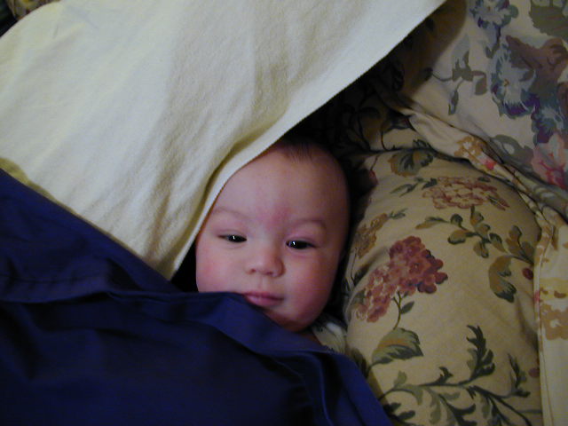 31050322.JPG, 1/5/03, 49 kB
