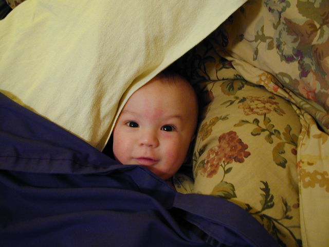 31050324.JPG, 1/5/03, 51 kB