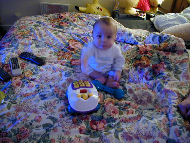31080328.JPG, 1/8/03, 61 kB
