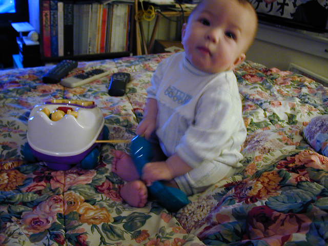 31080329.JPG, 1/8/03, 60 kB