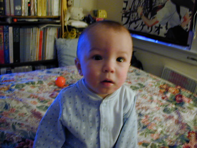 31230349.JPG, 1/23/03, 56 kB
