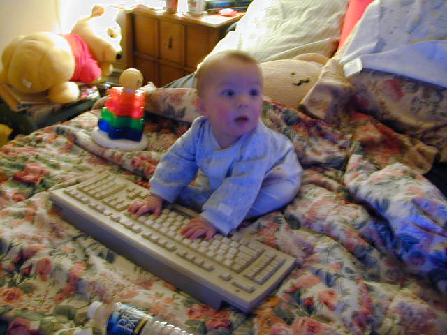 31240350.JPG, 1/24/03, 59 kB