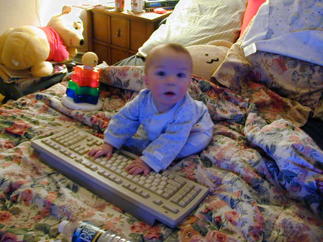31240351.JPG, 1/24/03, 55 kB