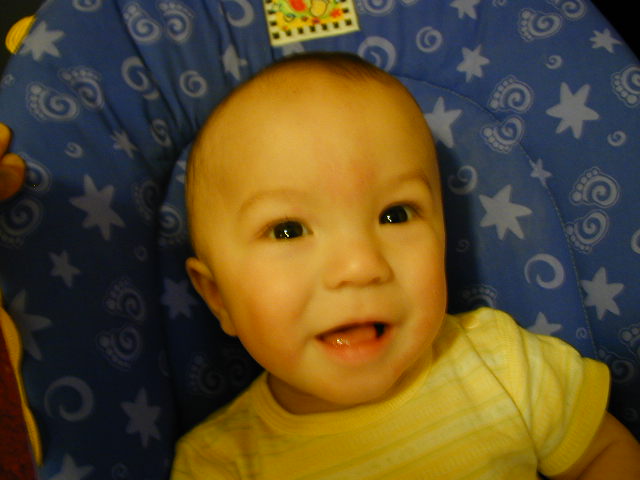 31250355.JPG, 1/25/03, 49 kB