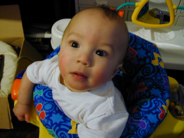 31270374.JPG, 1/27/03, 51 kB