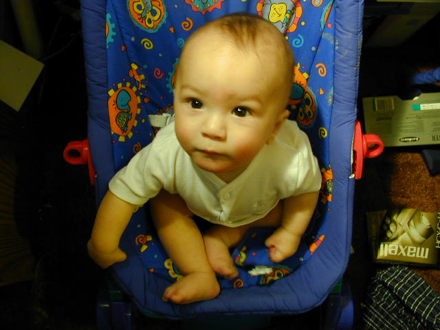31290385.JPG, 1/29/03, 54 kB