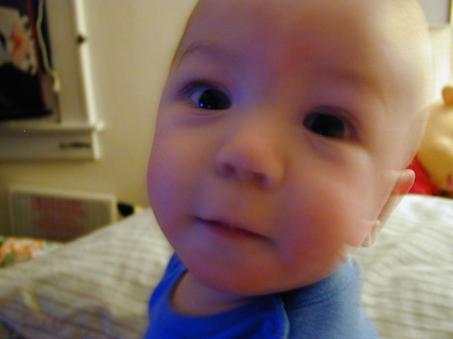 32020399.JPG, 2/2/03, 56 kB