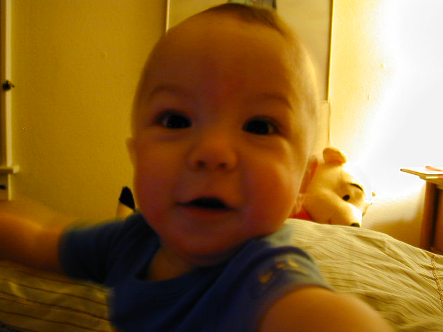 32020400.JPG, 2/2/03, 50 kB