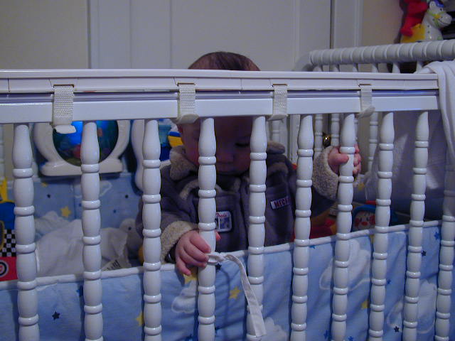 32030418.JPG, 2/3/03, 54 kB