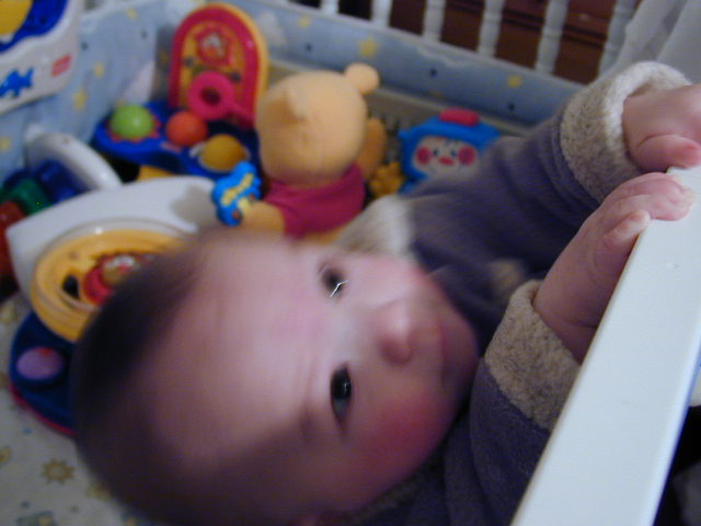32030425.JPG, 2/3/03, 48 kB