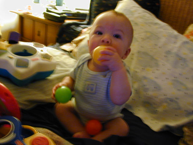32040435.JPG, 2/4/03, 52 kB
