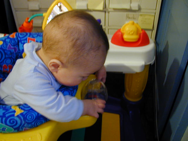 32040451.JPG, 2/4/03, 50 kB