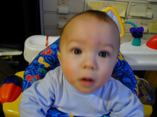 32040454.JPG, 2/4/03, 50 kB