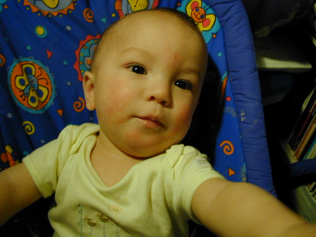 32050459.JPG, 2/5/03, 51 kB