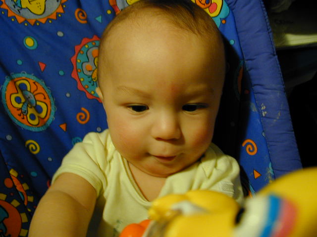 32050461.JPG, 2/5/03, 51 kB