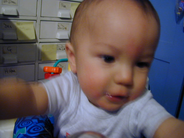 32060473.JPG, 2/6/03, 47 kB