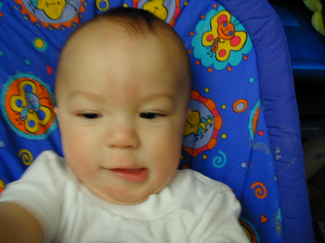 32070478.JPG, 2/7/03, 51 kB