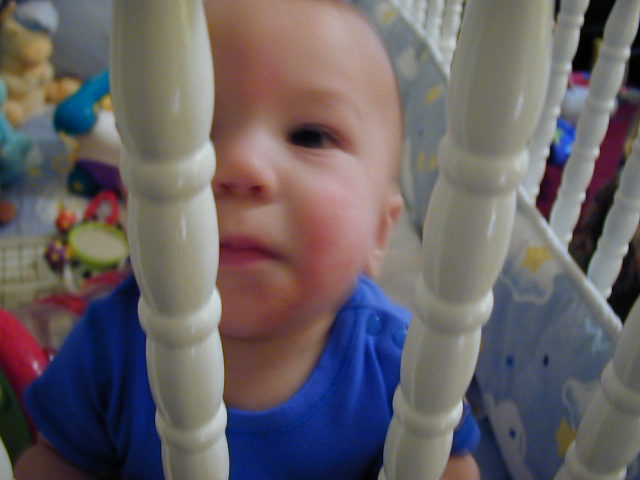 32150513.JPG, 2/15/03, 48 kB