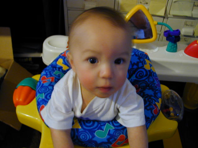 32200550.JPG, 2/20/03, 49 kB