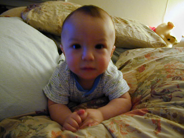 32200560.JPG, 2/20/03, 55 kB