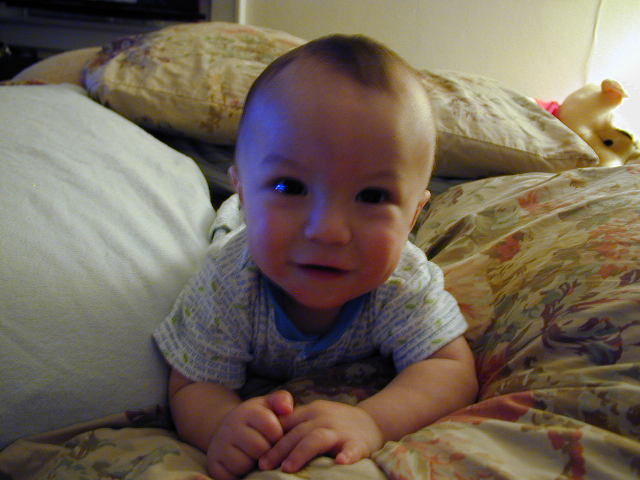 32200561.JPG, 2/20/03, 53 kB