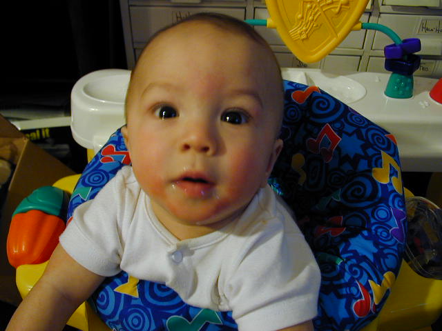 32250575.JPG, 2/25/03, 54 kB