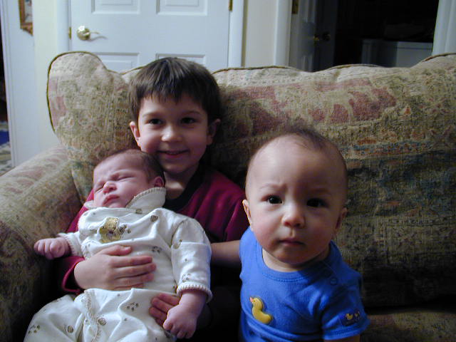 33150615.JPG, 3/15/03, 55 kB